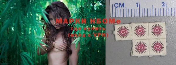 ешки Алексин