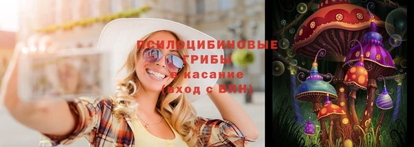 ешки Алексин