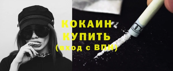 гашик Аркадак