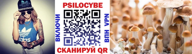 Псилоцибиновые грибы MAGIC MUSHROOMS  как найти закладки  Обнинск 