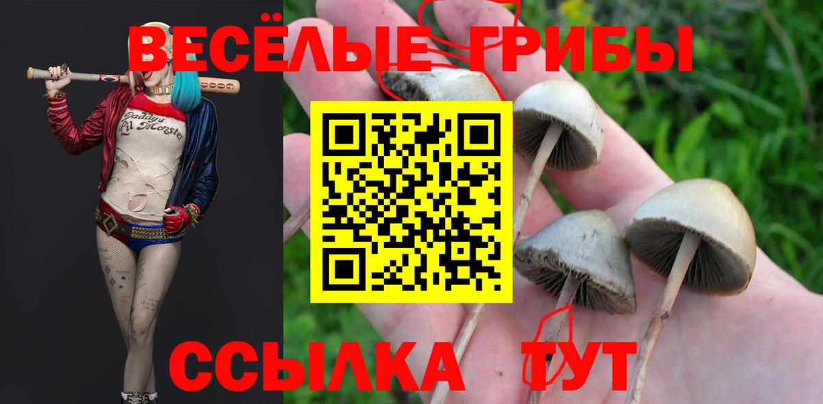 Псилоцибиновые грибы Psilocybe  цены   Обнинск  Галлюциногенные грибы Psilocybine cubensis  Вход с VPN 